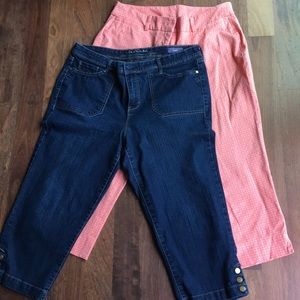 Lane Bryant  capris and G Vanderbilt capris
